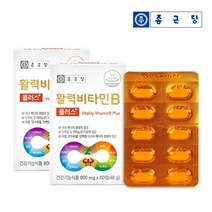 종근당 활력 비타민B 플러스(8중복합기능성) 2박스(4개월분)