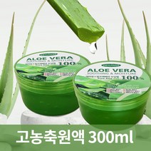 데이랑스 알로에 수딩젤 고농축 알로에 원액 100% 퓨어 알로에베라+++, 고농축100%알로에수딩젤(300ml), 1개