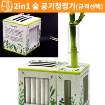 자체브랜드 2in1 숲 공기청정기