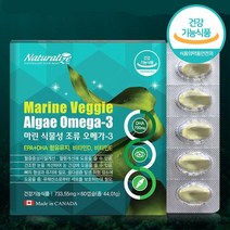 임신 초기 산모용 식물성 오메가3 지방산 전업주부 남편 오메가스리 오메가삼 DHA 어머니선물 아버지선물