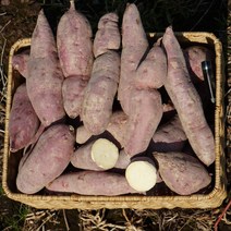고구마10키로 해남 밤고구마 다이어트 군고구마 강아지 간식 3kg 5kg 10kg, 한입 10kg