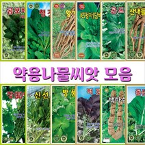 약용나물씨앗 모음, 3. 곤드레   100립