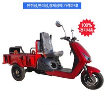 씽씽 전동삼륜차 200 삼륜 오토바이 전기차 전동차 덤프기능 농어업용기계 농기계, 강원도, 직접배송