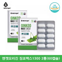 엔젯오리진 징코맥스 은행추출물 징코빌로바 은행나무추출물 GINKO 공시생영양제 GINKGOBILOBA 은행잎추출물 2통
