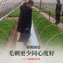 한냉사 골조 채소재배 병충해방지 한랭사 작물보호, 01.4mm 1m 20개, 1개