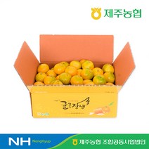 기타 2023 귤로장생 하우스 밀감 4kg, 4kg(2S~L), 1개