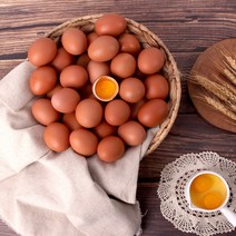 에그웰 무항생제 계란 HACCP인증 달걀 날계란 신선 특란, 30구