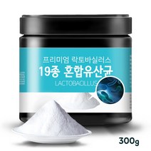 올바른습관 모유유산균 LGG유산균 및 19종 유산균 300g, 1개