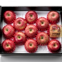 추석선물세트 실속형 사과 추석선물 명절 선물세트