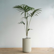 대형 켄차야자 베이지도리아화분 개업식 사무실이전 카페 거실 인테리어식물, 추가+3천원, 바퀴형+8천원
