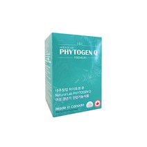 파이토젠 Q 회화나무열매 추출물 대두 이소플라본 리그난 여성갱년기 건강기능식품, 30캡슐 1개