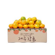 제주 감귤 맛좋은 제철과일, 1box, 4.5kg 꼬마소과