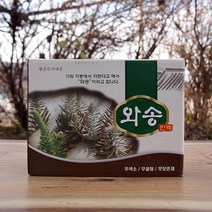 국내산 와송즙 진액 액기스 생와송 60포 1박스