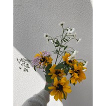 계절꽃5송이 생화택배 꽃다발배달