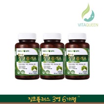 비타퀸 은행잎추출물 징코 3병 혈액순환영양제 뇌 기억력 혈행 개선, 3개