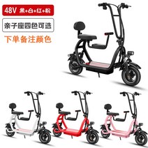 접이식 미니 전기 자전거 2인용 전기자전거, 48V, 패밀리/20Ah/약 100km항속/비고컬러