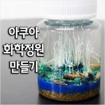아쿠아 화학정원 만들기(5인세트)