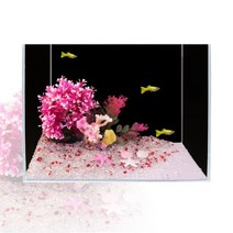 고운물 어항세트 미니 어항 꾸미기 세트 A형~30cm, 상세설명 참조