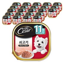 시저 시니어 11세 소고기100g 24개 캔, 11세 소고기