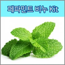 허브플로라 MP 비누만들기 키트, 페파민트 비누 키트