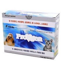 진돗개 장건강 유산균 애견 장영양제 반려견 웰시코기 대형견 장기능 묽은똥 식이섬유 중형견