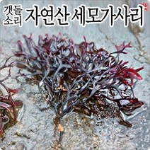 인기 있는 돌가사리해초샐러드 인기 순위 TOP50