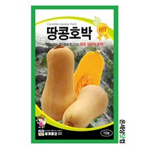 땅콩호박 10립 / 호박씨 호박씨앗 이색채소씨앗 과일채소씨앗, 단품