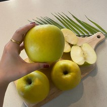 시나오스위트 황금사과 시나노골드사과 홍로 경북 3kg 5kg, 1개, 정품 5kg(대과10~12개)