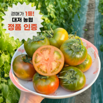 [정품인증] 최상급 대저 짭짤이 토마토 백화점납품용 로얄과 산지직송 짭짜리 못난이, M 사이즈 2.5kg