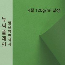 뉴씨플레인 종이문화 얇은 양면색지 120g 4절 낱장 1매 No.60 초록, 1장