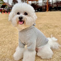 강아지옷만들기 도안 패턴 강아지 후드티