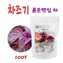 차즈기추출물 눈엔 차즈기 차 티백 루테올린 배당체 포커스 국내산 차조기 잎 자소엽 붉은깻잎 차 워터 티 물 눈엔 추천 홈쇼핑, 차즈기100T_1팩