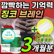 간편한 대용량 브레인 징코 두뇌 기억력 집중력 감퇴 저하 혈행 혈액 순환 개선 도움 플라보놀배당체 은행잎 은행입 추출물 함유 + 알 약 케이스 증정, 1개, 3개월분 / 1통 + 케이스