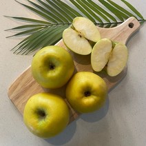 아삭후르츠 시나노골드 황금사과 가정용 흠집사과 3kg, 3kg(소과, 15과), 1개