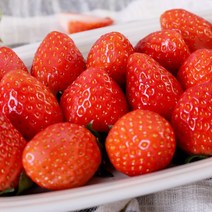 [산지직송]안종균님의 하이베드 재배 산청 딸기 1kg, 02.산청 딸기 1kg(상품), 상세설명 참조