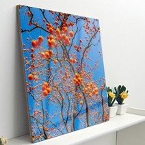 기타 바보사랑[꾸밈]아크릴액자_부자가되는감나무(중형)