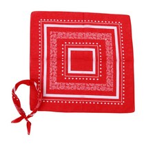 55x55cm 유럽 5 점 스타 스퀘어 두건 유니니스 렉스 기하학적 페이즐리 플로라