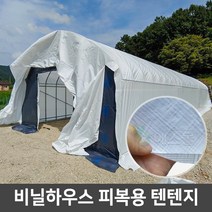 비닐하우스 텐텐지 하우스자재 피복 자재, 텐텐지 180g 5m x 10m, 1개