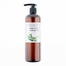 유안재 어성초샴푸 500ml 사춘기 민감성 무실리콘 천연 펌프형+전용 샴푸바 100g, 2개