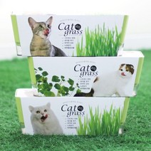 투톤 캣그라스 고양이 헤어볼 소화 촉진 (W8CAF9E), 본상품선택