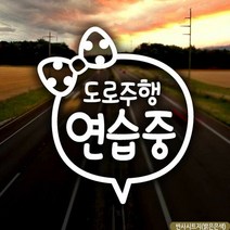 자동차스티커 도로주행연습중 초보운전 반사시트지, 단품
