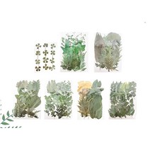 (TD) (취미키트) 압화잎 시리즈 (1인) labelle shop, GH36