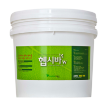 헵시바 화이트(W) 베란다 창고 다용도실 습도조절 항곰팡이 페인트 4Kg 10Kg, 헵시바W(화이트) 4Kg