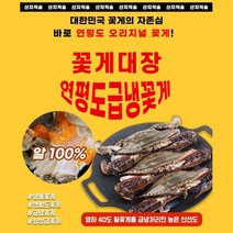 꽃게대장 연평도 꽃게 냉동꽃게 암꽃게 숫꽃게 제철, 숫게 4kg