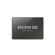 삼성 SSD 870 EVO 500GB MZ-77E500B/KR