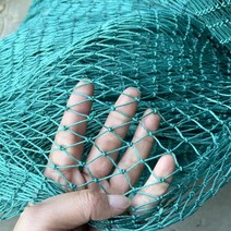 해태망 고라니망 능형망 분진망 러셀망 노루망 24 가닥 무거운 안티 새 그물 사슴 울타리 정원 울타리 및 작물 보호 펜싱 메쉬 안티 새 사슴 고양이 개 닭 그물, 3mx5m