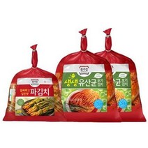 종가 생생유산균 포기김치 3.2kg x2개+파김치 1kg 배추김치 맛있는반찬, 1세트