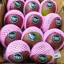 페루 애플망고 8-10과 (중과 450g내외), 1box, 4-5입 2kg
