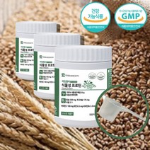 독일 산 단백질 아미노산스코어 유당없는 식물성 단백질 프로틴 비타민 완두단백 분말 가루 파우더, 식물성 단백질 210g x3통