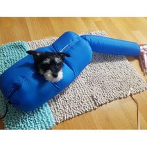 강아지털말리는기계 애견건조기 블루 고양이털 강아지드라이빙킷, S, 1개